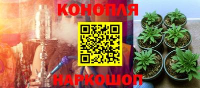 эйфоретик Гусев