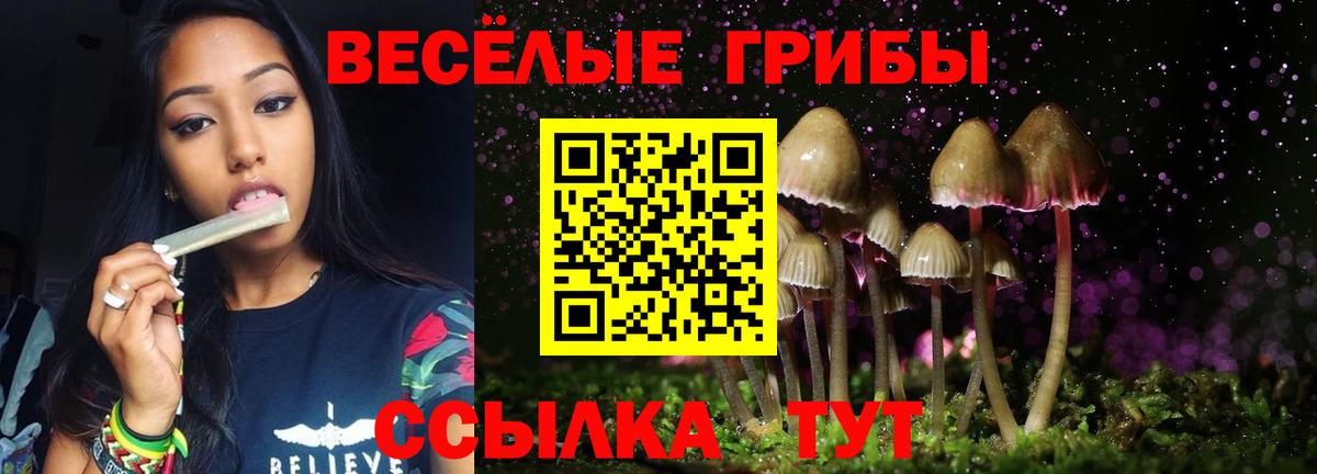 Галлюциногенные грибы Psilocybine cubensis  Вход с VPN  Бирск 